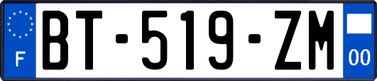 BT-519-ZM