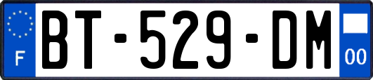 BT-529-DM