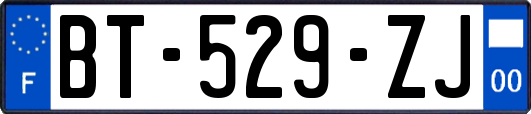 BT-529-ZJ