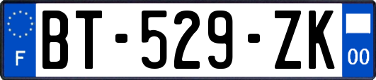 BT-529-ZK