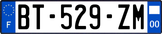 BT-529-ZM