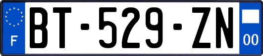 BT-529-ZN