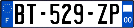 BT-529-ZP