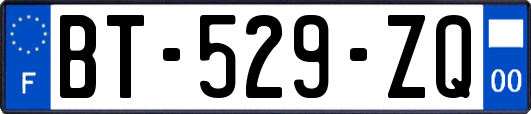 BT-529-ZQ