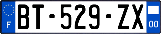 BT-529-ZX