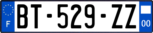 BT-529-ZZ