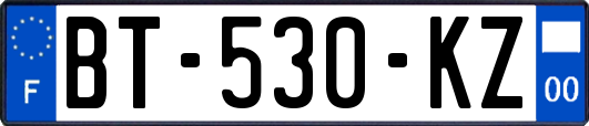 BT-530-KZ