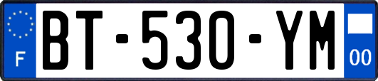 BT-530-YM