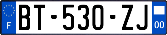 BT-530-ZJ