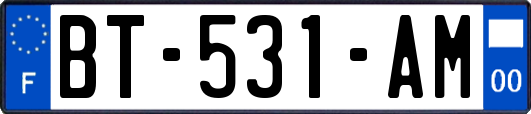 BT-531-AM