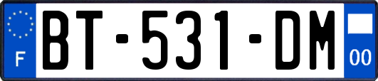 BT-531-DM