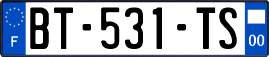 BT-531-TS