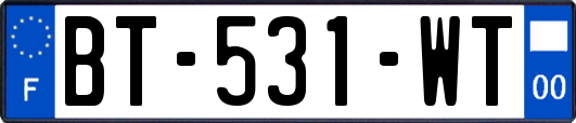 BT-531-WT