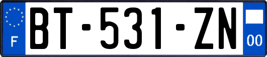 BT-531-ZN