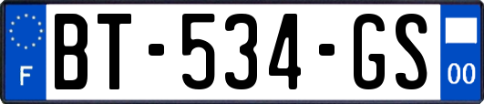 BT-534-GS