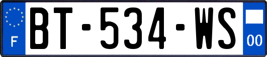 BT-534-WS