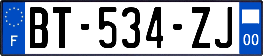 BT-534-ZJ