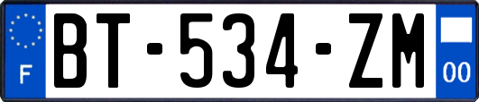 BT-534-ZM