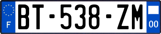 BT-538-ZM