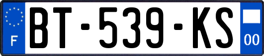 BT-539-KS