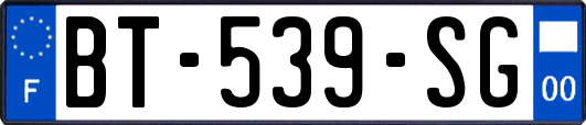 BT-539-SG