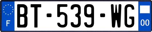 BT-539-WG