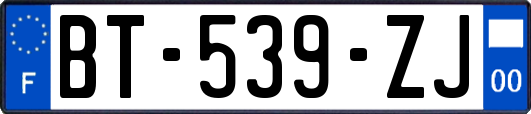 BT-539-ZJ