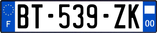 BT-539-ZK