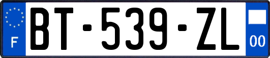 BT-539-ZL