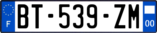 BT-539-ZM