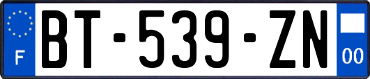 BT-539-ZN