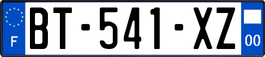 BT-541-XZ