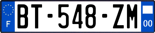 BT-548-ZM