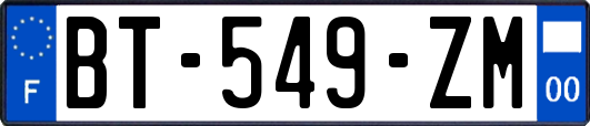 BT-549-ZM