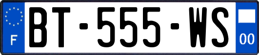 BT-555-WS