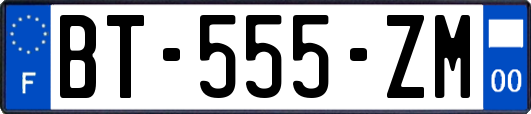 BT-555-ZM