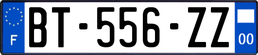 BT-556-ZZ