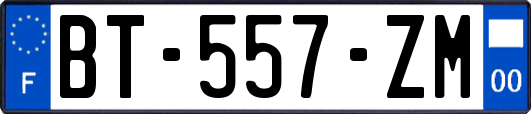 BT-557-ZM