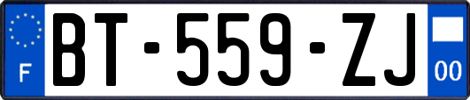 BT-559-ZJ