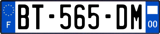 BT-565-DM