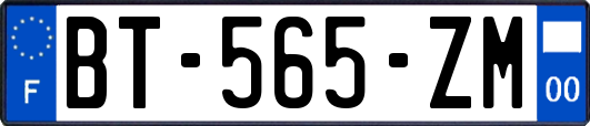 BT-565-ZM