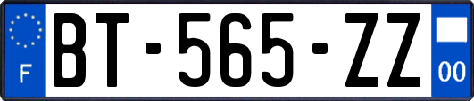 BT-565-ZZ