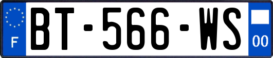 BT-566-WS