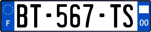 BT-567-TS