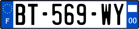 BT-569-WY