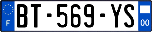 BT-569-YS