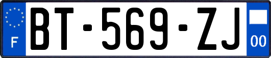 BT-569-ZJ