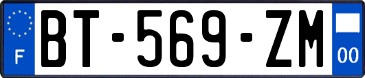 BT-569-ZM