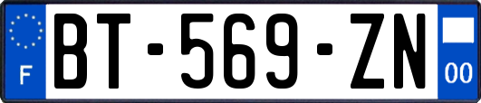 BT-569-ZN