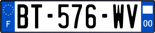 BT-576-WV